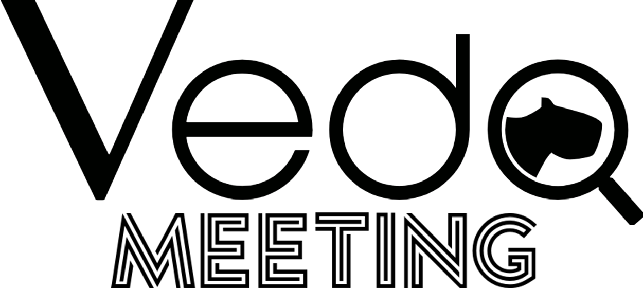 VedoMeeting