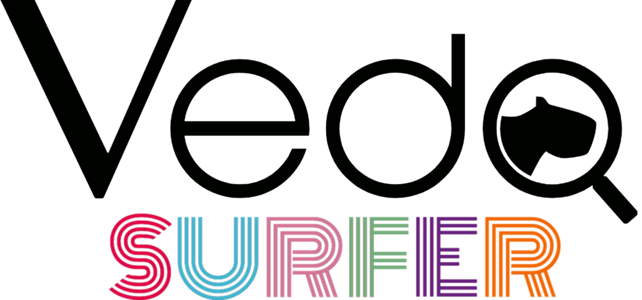 VedoSurfer